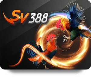 Tại Sao VN88 Casino Đẳng Cấp Lại Hấp Dẫn Đến Vậy?